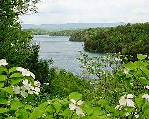 Philpott Lake